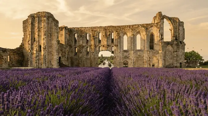 Ruines abbaye Maillezais marais poitevin patrimoine historique Vendée